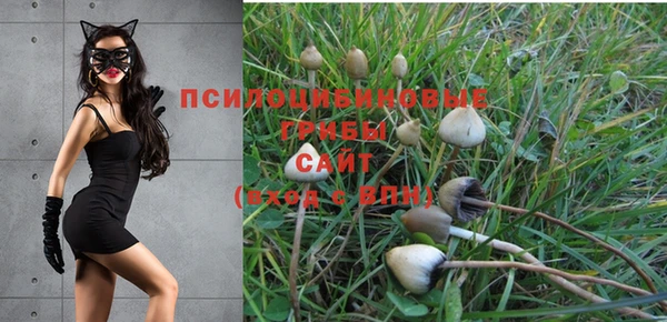 mdma Верея